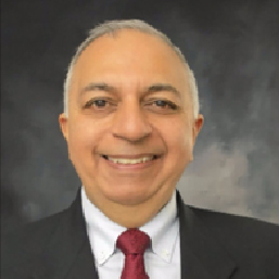Prof. Vikas Kapil