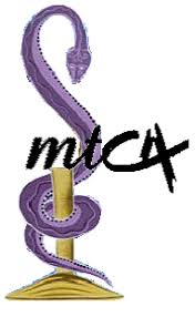 Morroccan society
